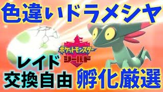 ドラメシヤ色違い 光るお守り国際孵化厳選 レイド 交換募集自由 ポケモンソード シールド 運はいいのか